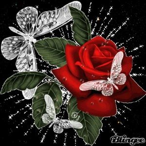 Meet your Posher, Angelica